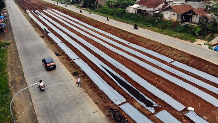 Foto udara pembangunan lahan pertanian di kawasan Jalan Raya Bojonggede- Kemang, Kabupaten Bogor, Jawa Barat, Senin (6/7/2026). Pemkab Bogor mengubah lahan kosong di sepanjang Jalan Raya Bojong Gede–Kemang (Bomang) sepanjang delapan kilometer menjadi kawasan pertanian terpadu sebagai upaya mendorong pemberdayaan ekonomi masyarakat serta untuk memperkuat ketahanan pangan. ANTARA FOTO/Yulius Satria Wijaya