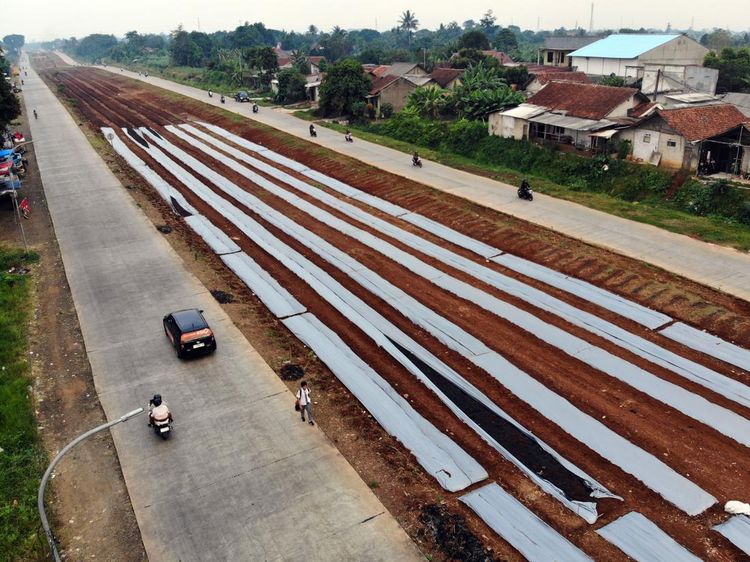 Lahan Tidur di Bogor Disulap Jadi Kawasan Pertanian Terpadu