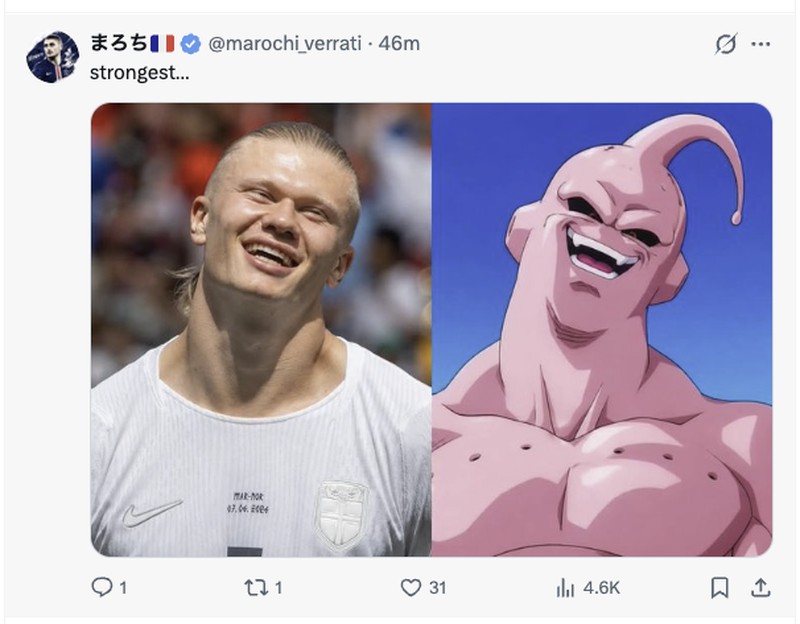 Meme Haaland
