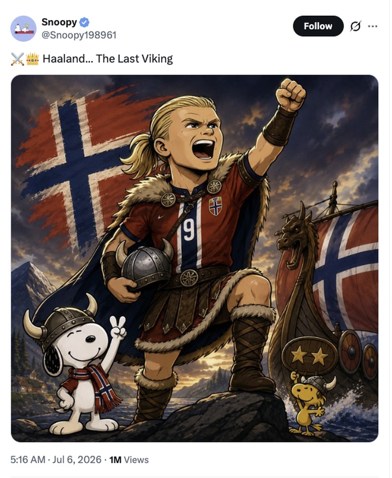 Meme Haaland