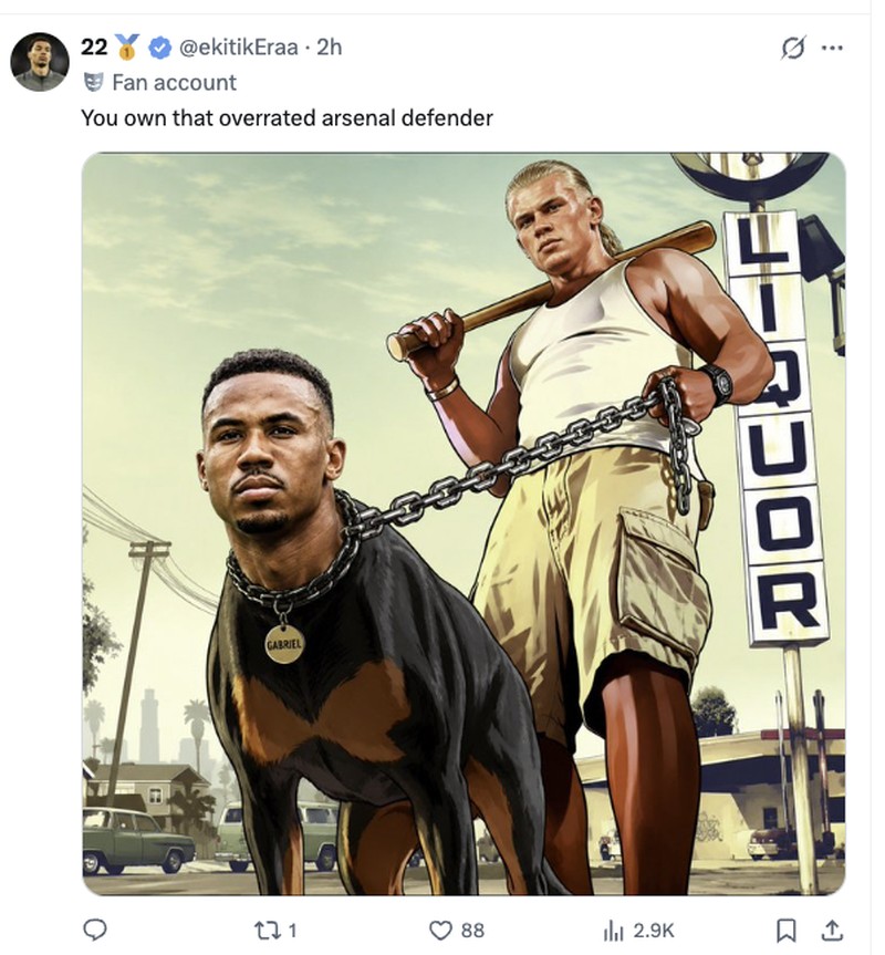Meme Haaland
