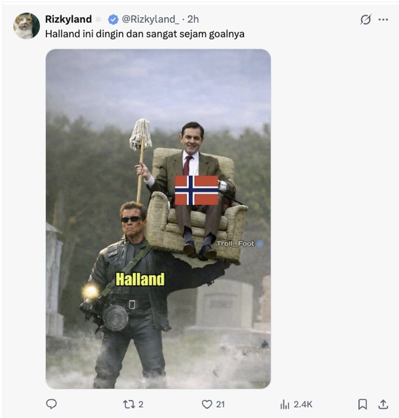 Meme Haaland