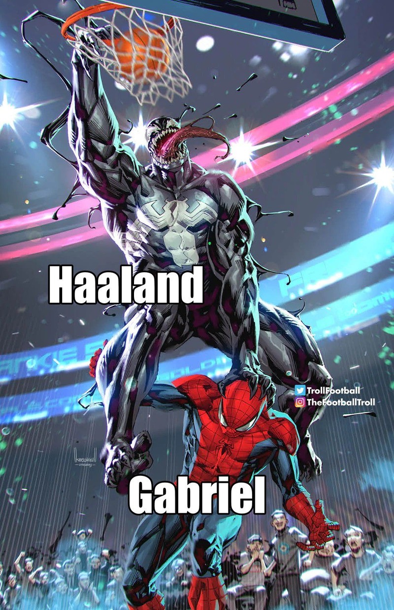Meme Haaland