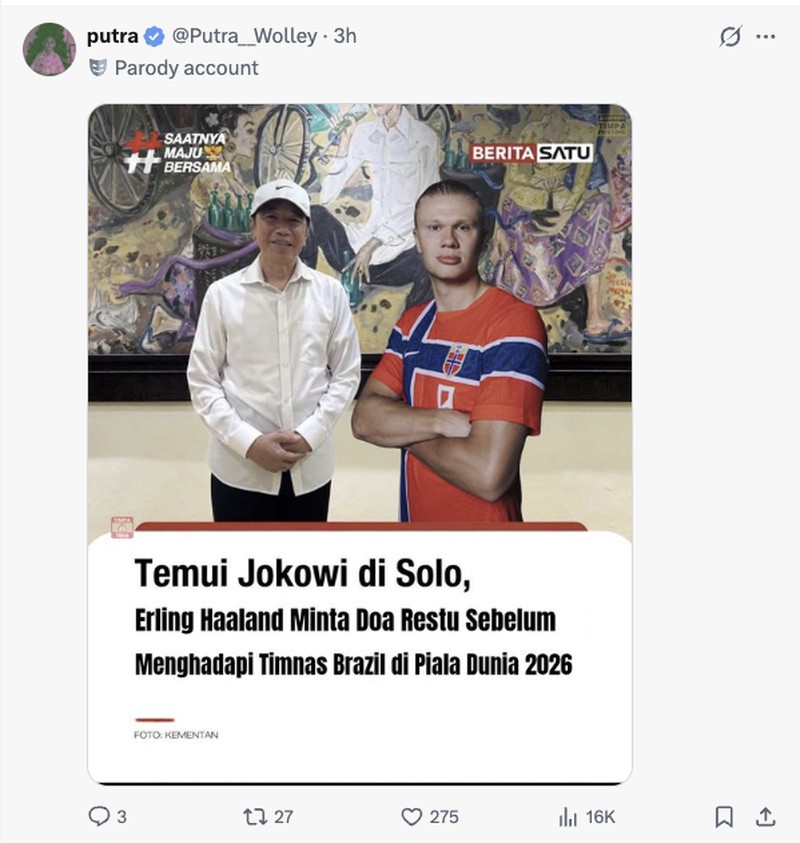 Meme Haaland