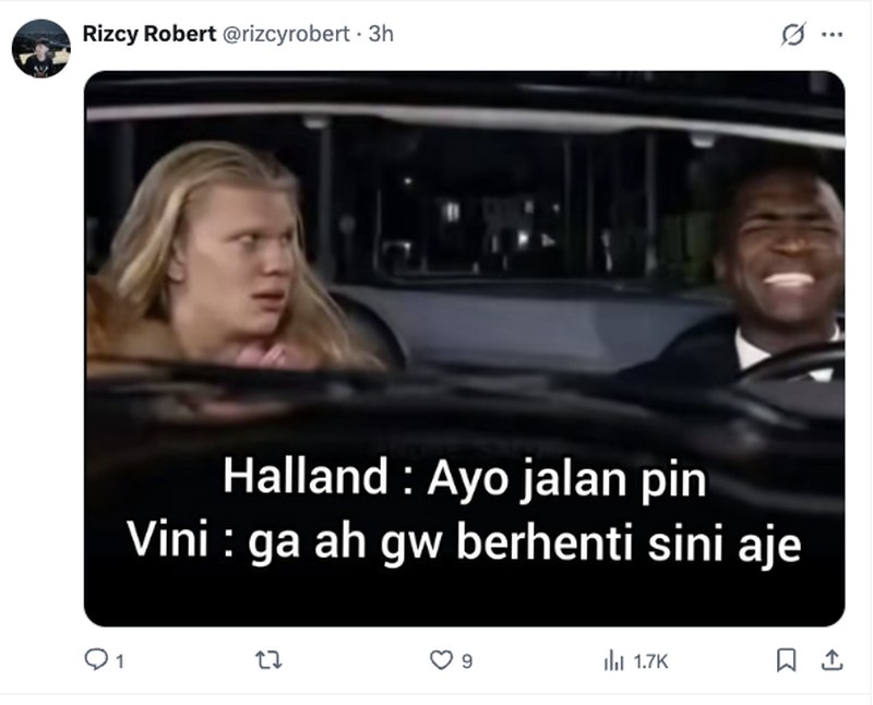 Meme Haaland
