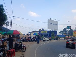 Usai Ratusan Kios Dibongkar, Giliran Starling Padati Puncak Cianjur