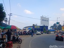 Usai Ratusan Kios Dibongkar, Giliran Starling Padati Puncak Cianjur