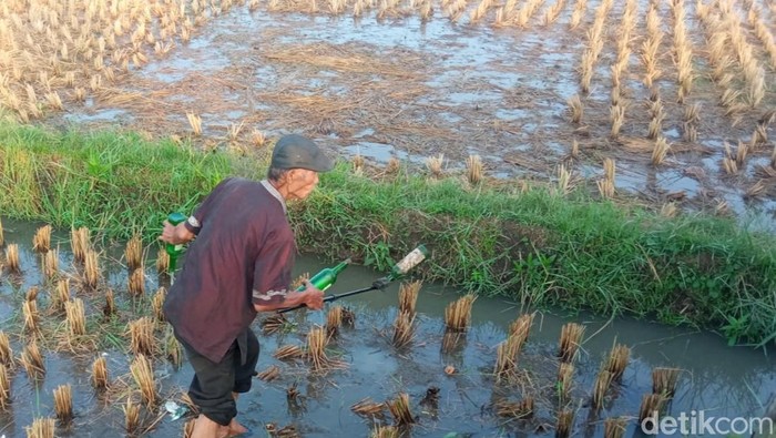 Petani di Jalan Lingkar Utara Kota Tasikmalaya menunjukkan botol miras yang banyak ditemukan di sawah mereka.