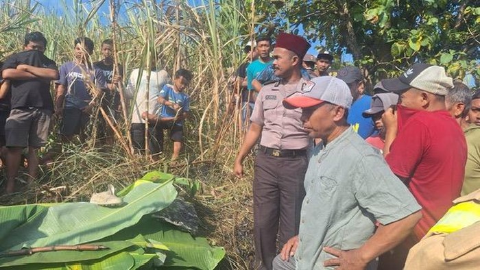 Petani Tebu Tewas Terbakar di Mojo Kediri