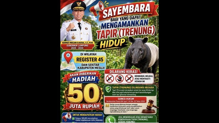 Sayembara yang dikeluarkan Gubernur Lampung terkait tapir.
