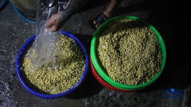 Suasana aktivitas perajin tempe di Kampung Tempe, Sunter Jaya, Jakarta, Senin (6/7/2026). Suasana aktivitas perajin tempe di Kampung Tempe, Sunter Jaya, Jakarta, Senin (6/7/2026). (CNBC Indonesia/Faisal Rahman)