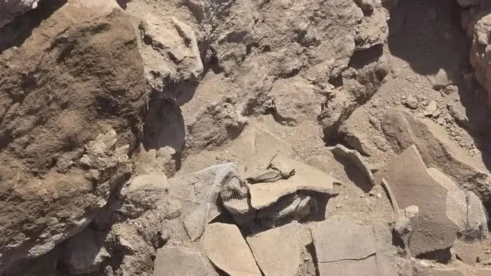 Ark of The Covenant
