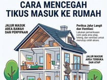 Infografis: Tikus Masuk Rumah Lewat Celah Ini, Begini Cara Cegahnya