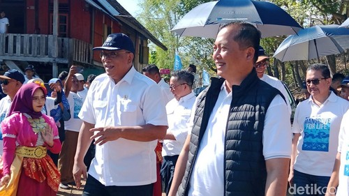 Gubernur NTB Lalu Muhammad Iqbal ketika mendampingi Menteri LH di acara penanaman mangrove di Desa Labuhan Alas, Kecamatan Alas, Sumbawa, NTB, Selasa (7/7/2026) foto (Sanusi Ardi W/detikBali)