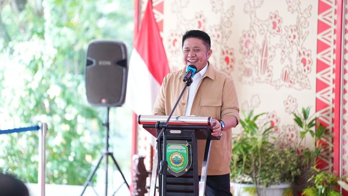 Gubernur Sumsel Herman Deru