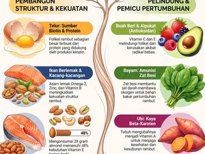 Infografis: 7 Makanan Untuk Cegah Rambut Rontok Secara Alami