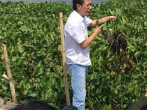 Bos Tolak Angin-Kuku Bima Ener-G 10 Tahun Kaji Rawa Pening, Ini 4 Manfaatnya