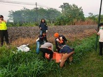 Jalan di Atas Rel, Pria Tulungagung Tewas Diduga Tertabrak KA Brawijaya