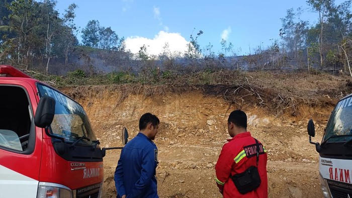 Lahan hutan 10 hektare di Desa Sambong, Kecamatan Kota Pacitan ludes terbakar