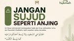 Jangan Sujud Seperti Anjing
