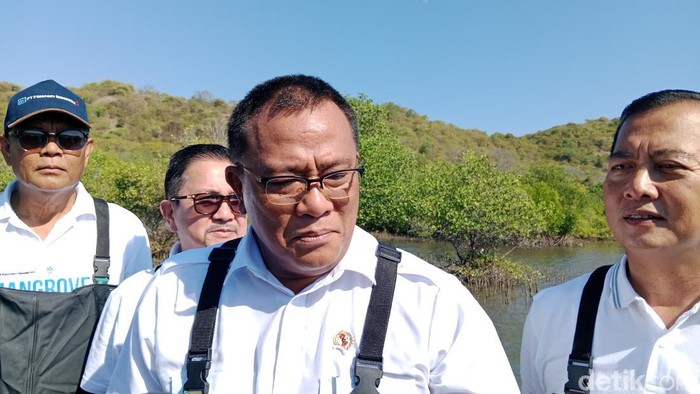 Menteri Lingkungan Hidup, Jumhur Hidayat seusai melakukan penanaman. Mangrove di Desa Labuhan Alas, Kecamatan Alas, Kabupaten Sumbawa, NTB. Selasa (7/7/2026) foto (Sanusi Ardi W/detikBali)