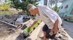 Hijaunya Padi Sawah Rongsok Mbah Suhan di Ponjong Gunungkidul