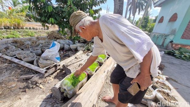 Sawah rongsok milik Suhantara di Ponjong Gunungkidul, Selasa (7/7/2026).