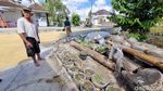 Hijaunya Padi Sawah Rongsok Mbah Suhan di Ponjong Gunungkidul