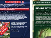 Sayembara Tangkap Tapir Hidup-hidup di Mesuji Berhadiah Rp 50 Juta Dibatalkan