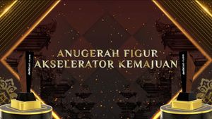 Peraih Anugerah Figur Akselerator Kemajuan - detikbali-nusra Awards 2026
