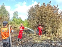 2 Hektare Lahan Terbakar di Muara Enim Berhasil Padam, Tim Bergeser ke Titik Baru