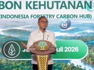 Zulhas Minta Kementerian Lain Percepat Aturan Perdagangan Karbon