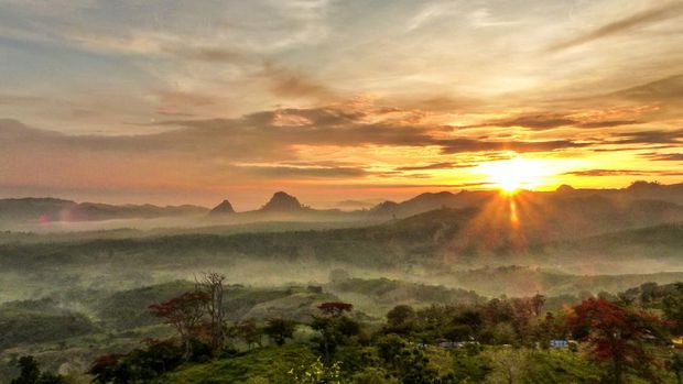 Titik pandang di ketinggian sekitar 360 mdpl. Pengunjung dapat menikmati panorama perbukitan Bojonegoro Selatan dengan latar Gunung Pandan dan Bukit Lawang