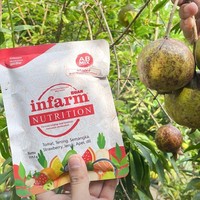 Tak Perlu Lahan Luas, Ini Cara Berkebun dari Rumah