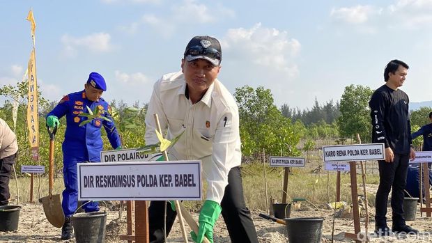 Dirreskrimsus Polda Babel Kombes Nanang Haryono. Dirreskrimsus Polda Babel Kombes Nanang Haryono.