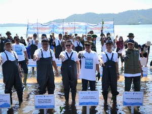 Freeport & Kementerian Lingkungan Hidup Tanam 1,5 Juta Mangrove di NTB