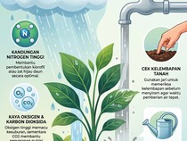 Air Ajaib yang Bikin Tanaman Lebih Subur