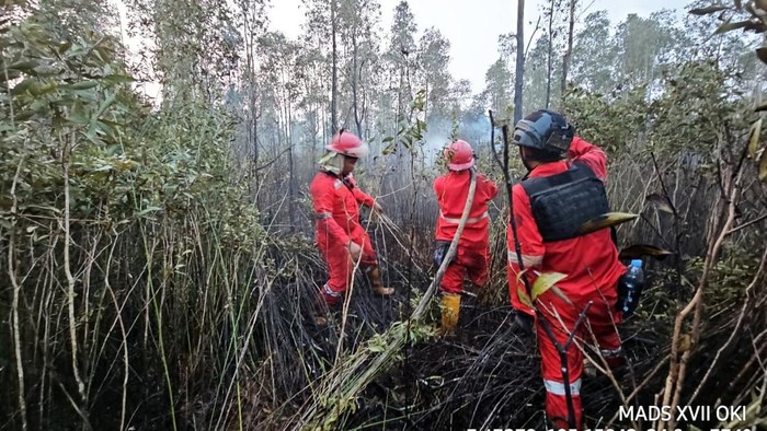 Karhutla di OKI belum berhasil dipadamkan.