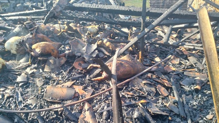 Penampakan kandang kambing di Desa Jagalempeni, Wanasari, Brebes, yang terbakar pada Rabu (8/7/2026) siang.