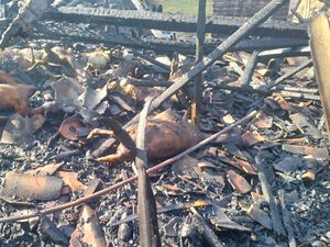 Kandang di Brebes Terbakar, 25 Kambing Mati Terpanggang