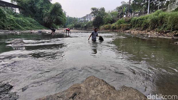 Komunitas Domba Tubing, Bogor. Komunitas Domba Tubing, Bogor.