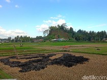 Sungai Menyusut, Irigasi Rusak, Petani Tasik Diminta Ubah Pola Tanam
