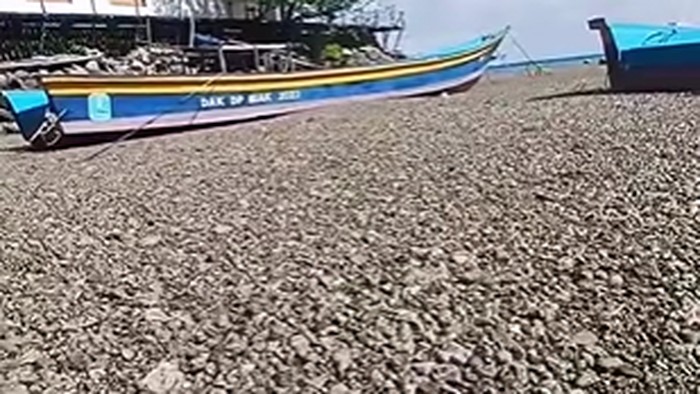 Fenomena batu apung memenuhi perairan Sarmi dan Biak, Papua, viral di media sosial (medsos).