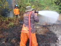 Kemarau Masih Panjang, BPBD Kobar Siaga Karhutla Meski Laporan Menurun