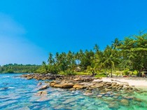 Berenang Bareng 4 Spesies Ubur-ubur Tanpa Sengat di Pulau Kakaban Kalimantan