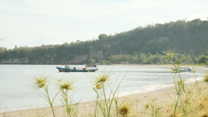Teluk Buyat