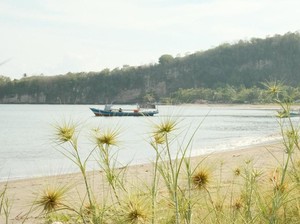 Teluk Buyat, Banyak Organisme Laut Unik dan Menarik