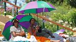 The Hill Dipenuhi Payung, Terik Matahari Tak Halangi Antusias Penonton Wimbledon