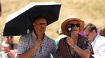 The Hill Dipenuhi Payung, Terik Matahari Tak Halangi Antusias Penonton Wimbledon