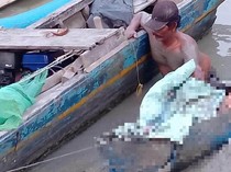 Heboh Warga Lampung Selatan Temukan Mayat Mr X Membusuk di Tepi Laut